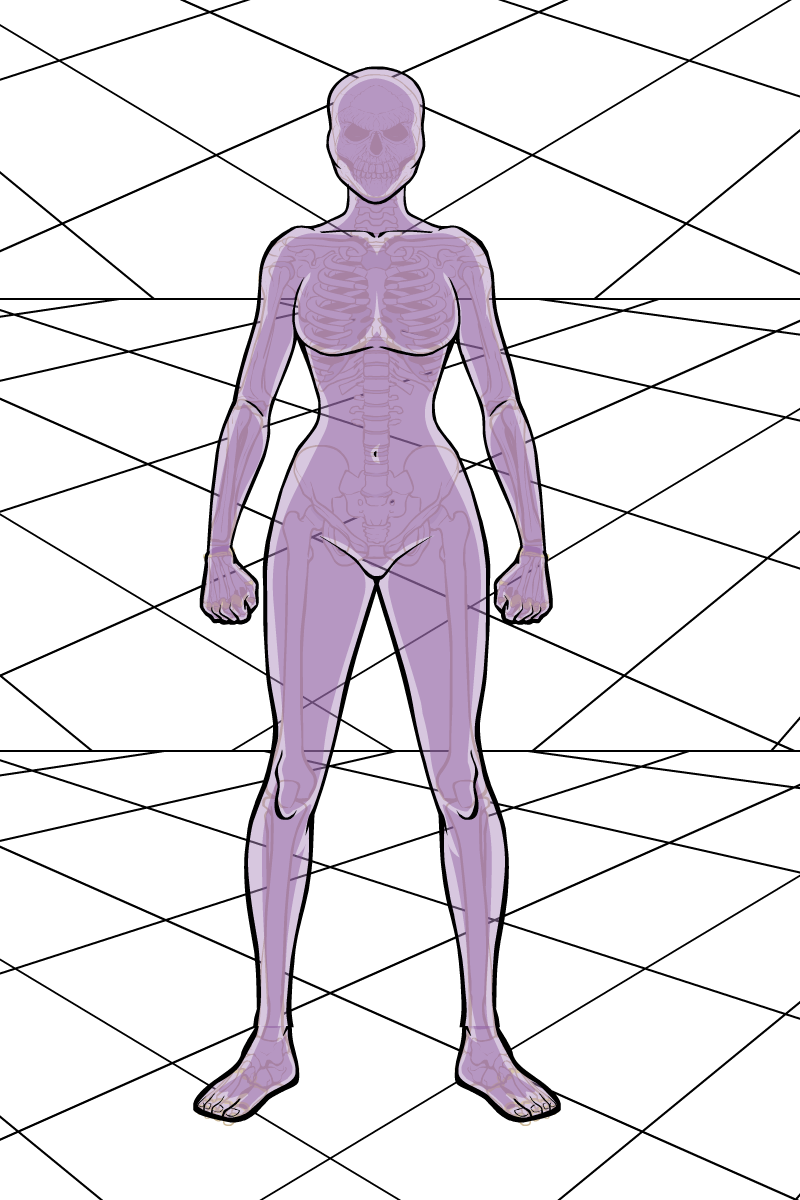 transparentskeletonexample.png transparentskeletonexample.png