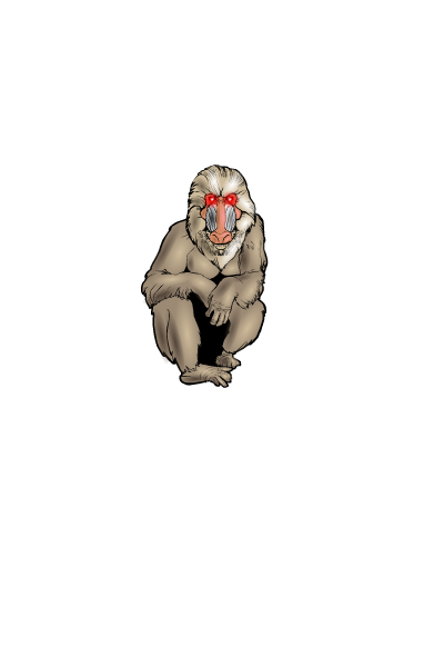 Babi.png