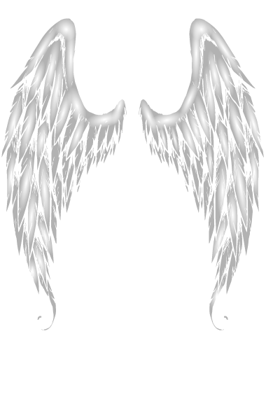 Angel-wings-3.png Angel-wings-3.png