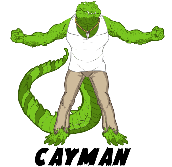 cayman-HM3.PNG