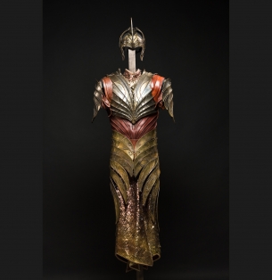 http://www.heromachine.com/wp-content/legacy/forum-image-uploads/candruth/2014/05/cabinetlarge-lotrelvenarmour.jpg