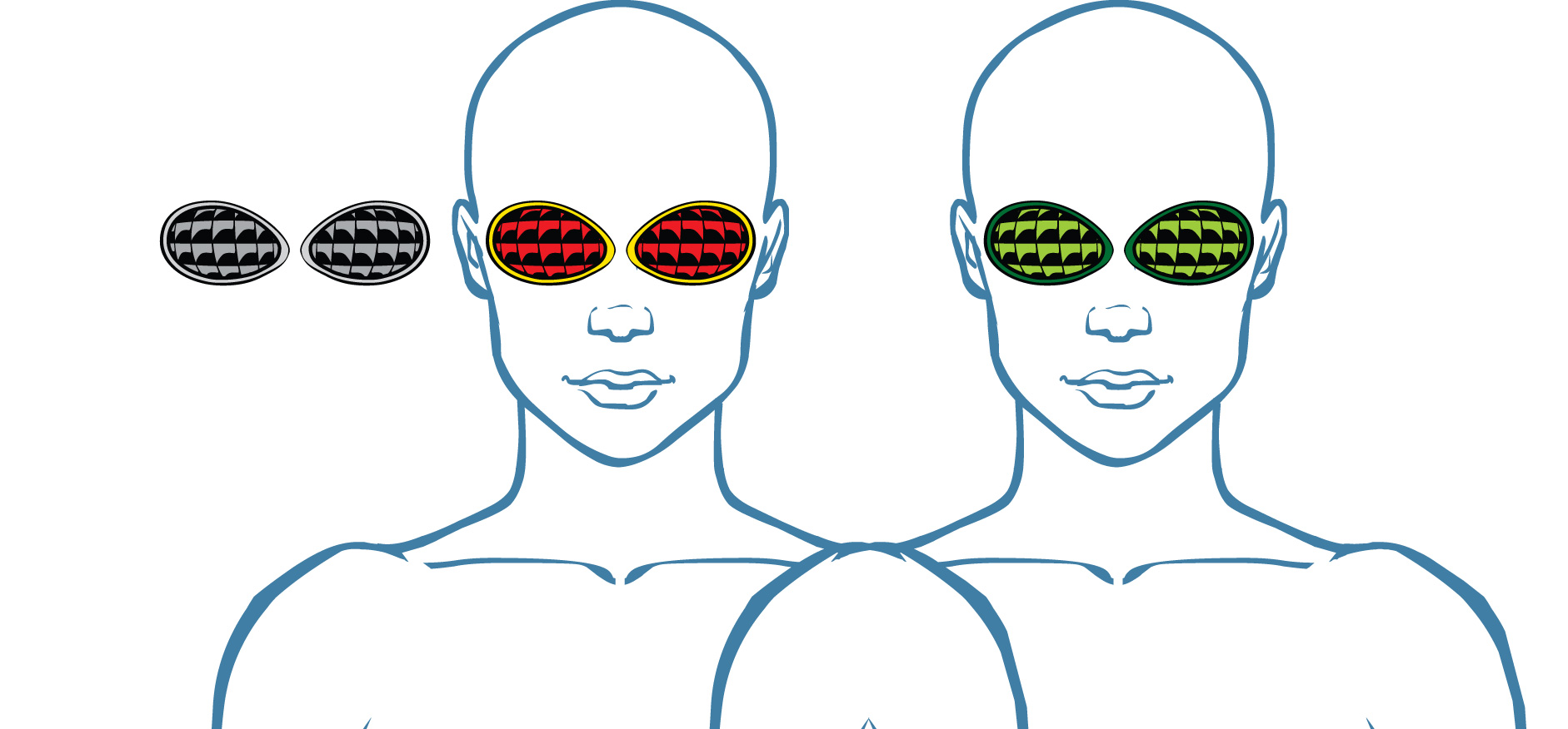 Eye_Fly_SHOW.jpg