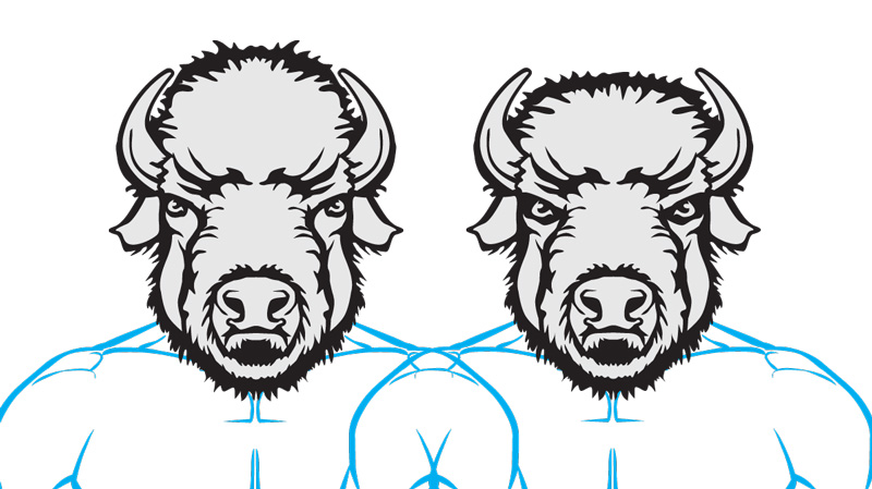 Head_Bison_SHOW.jpg Head_Bison_SHOW.jpg