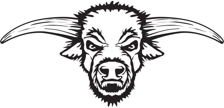 Head_Bull.jpg Head_Bull.jpg