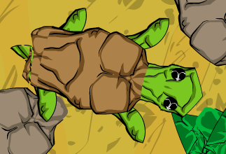 Tortoise.png Tortoise.png