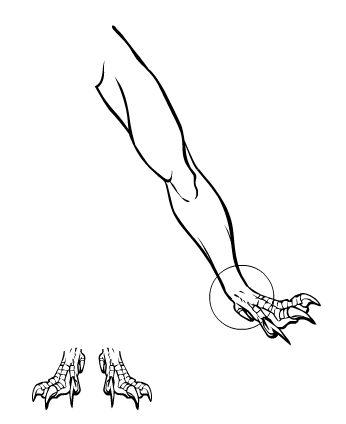 Feet-help.PNG