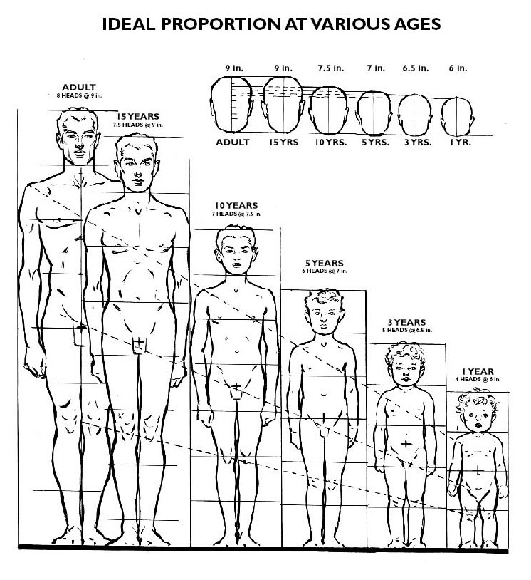 proportions.jpg
