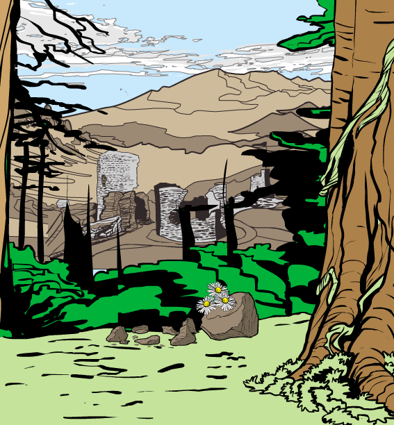 Forest-edge.png