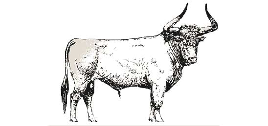 aurochs-2.jpg aurochs-2.jpg