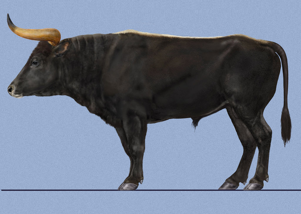 lund_aurochs_by_phan_tom-d5xl5xo.jpg lund_aurochs_by_phan_tom-d5xl5xo.jpg