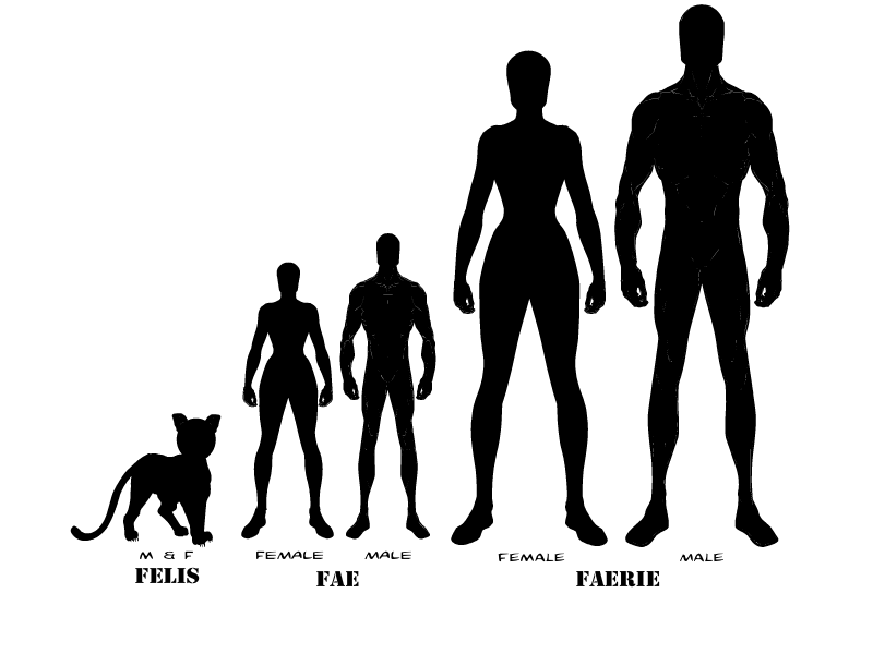 Scale-heights-of-Felis-Fae-and-Faerie.png