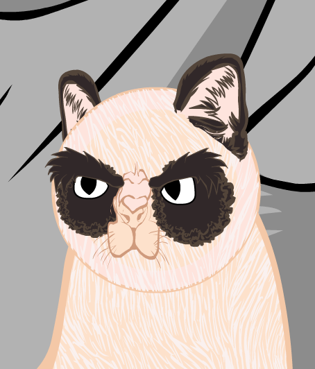 Grumpy-Cat.png