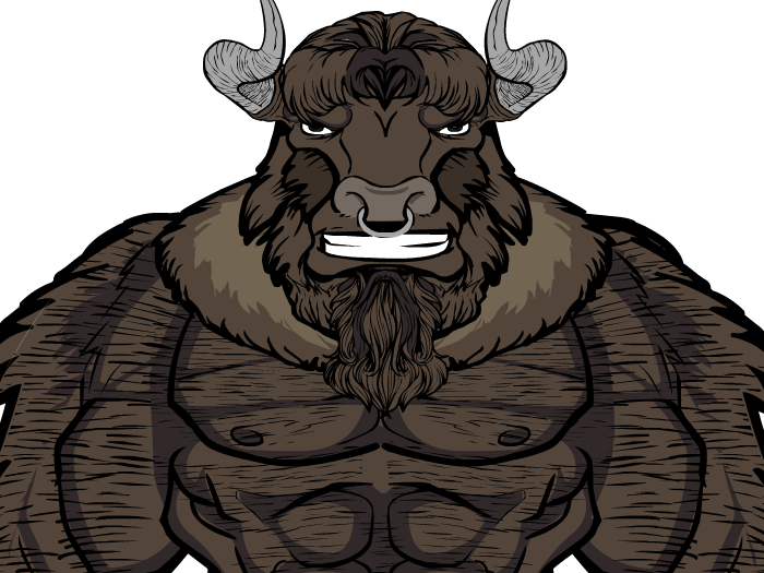Bison-Wyoming_hs.png