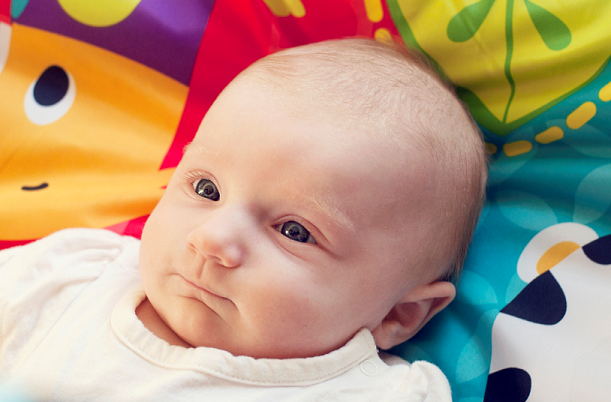 Greta-Isabel.png Greta-Isabel.png