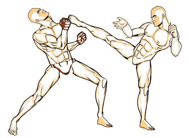 http://www.heromachine.com/wp-content/legacy/forum-image-uploads/prswirve/2013/01/fight-pose.png