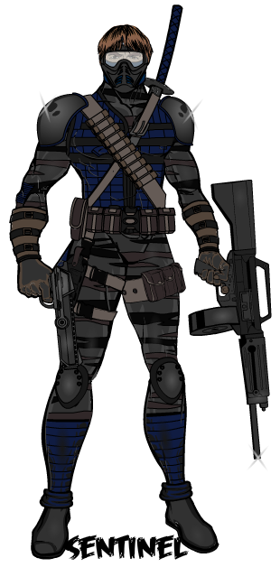 http://www.heromachine.com/wp-content/legacy/forum-image-uploads/qwerty1971/2013/09/sentinel.png