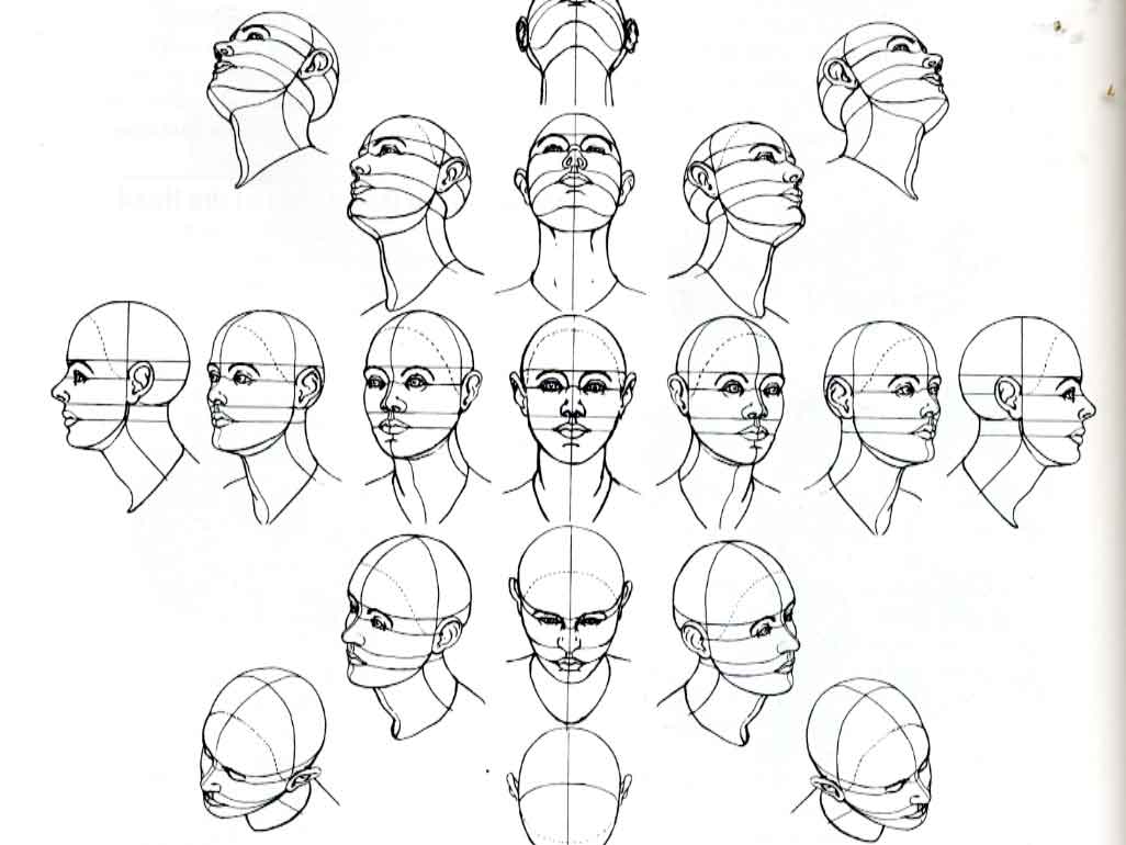 head-perspective.jpg head-perspective.jpg