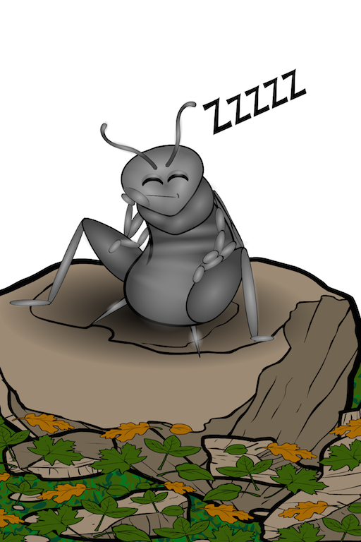 cricket.png cricket.png