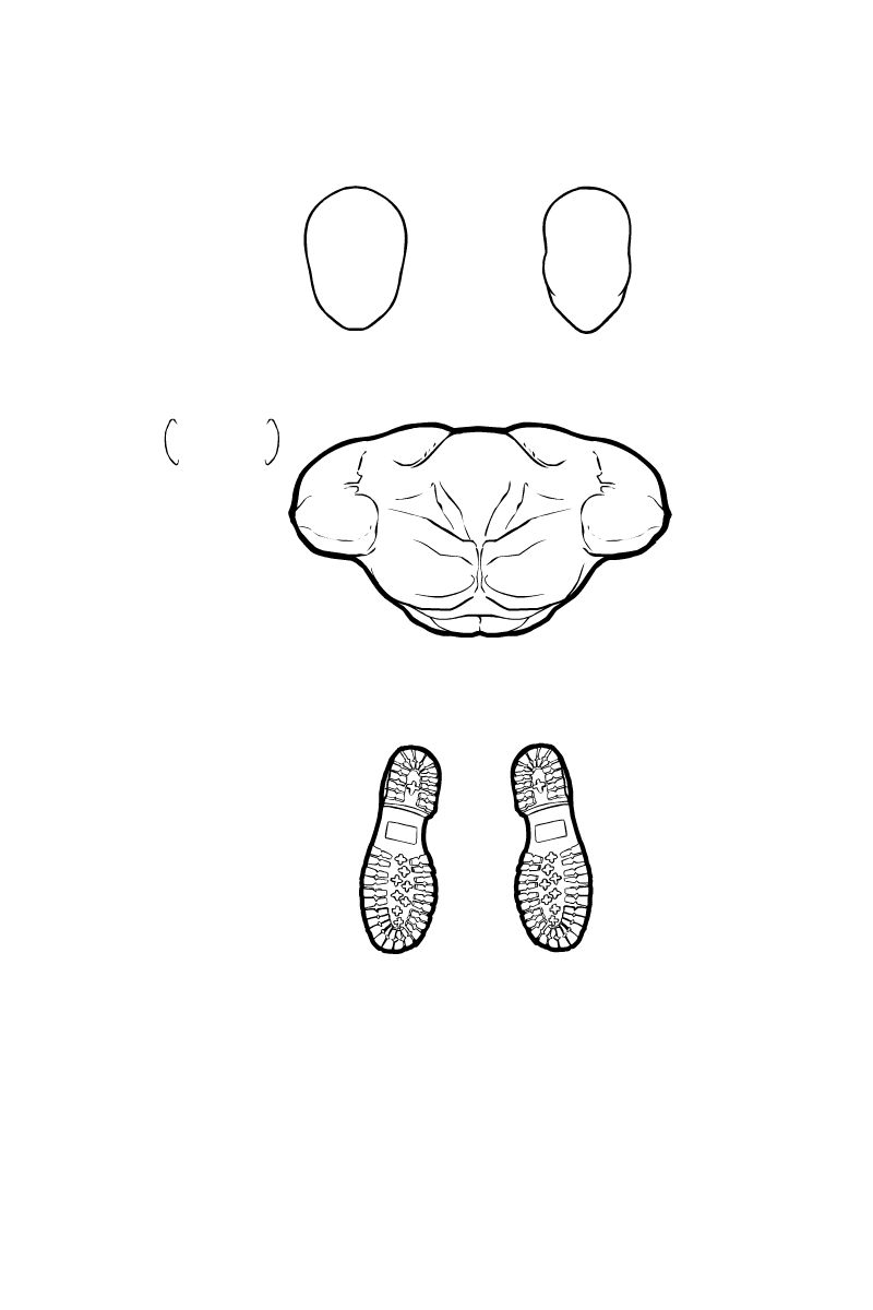 birdseye1.png birdseye1.png