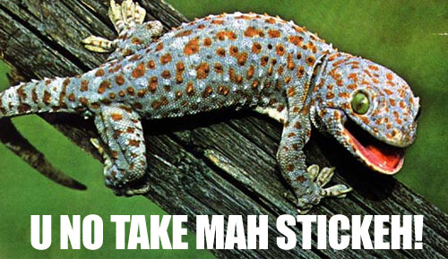 LOLGecko - U no take mah stickeh!