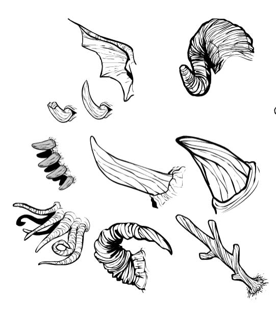 head-horns.jpg