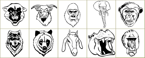 animalheads-old animalheads-old