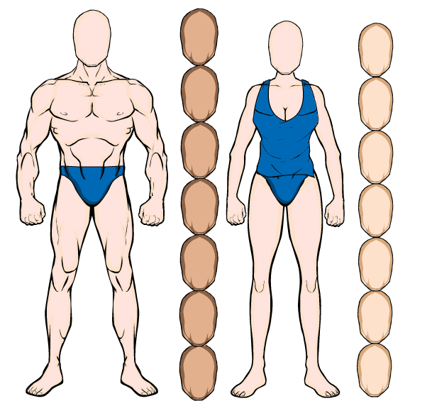 Human Height Scale Chart