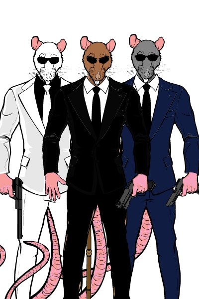d-3blindmice d-3blindmice