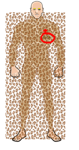 leopard1 leopard1