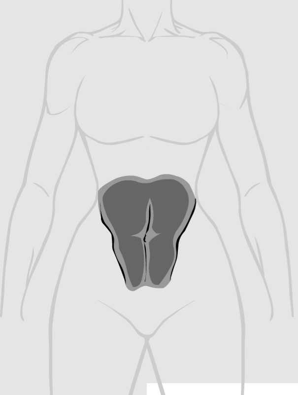 cc71-spidercow2010-femaleabs2