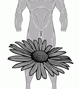 chc37-cliff-flower-rough