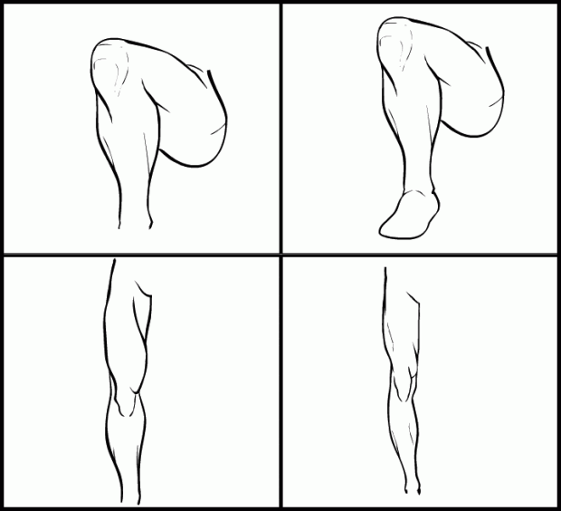 dblade-legs