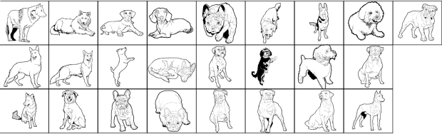 dogs