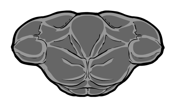 flyingtorso