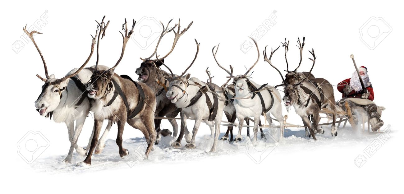 15465347-santa-claus-rides-in-a-reindeer-sleigh-he-hastens-to-give-gifts-before-christmas-this-is-fast-team-o-stock-photo